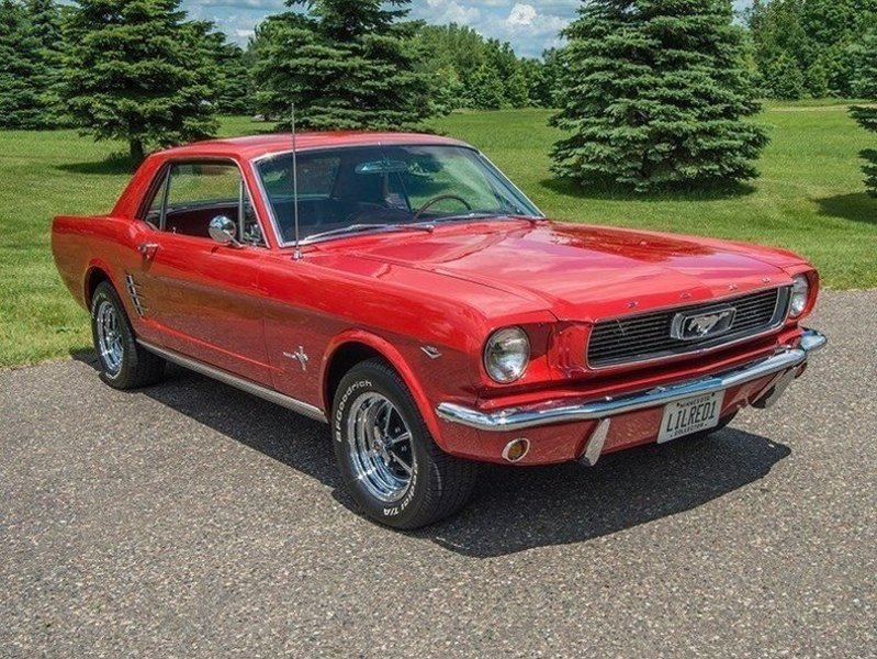 Mustang -66.jpg