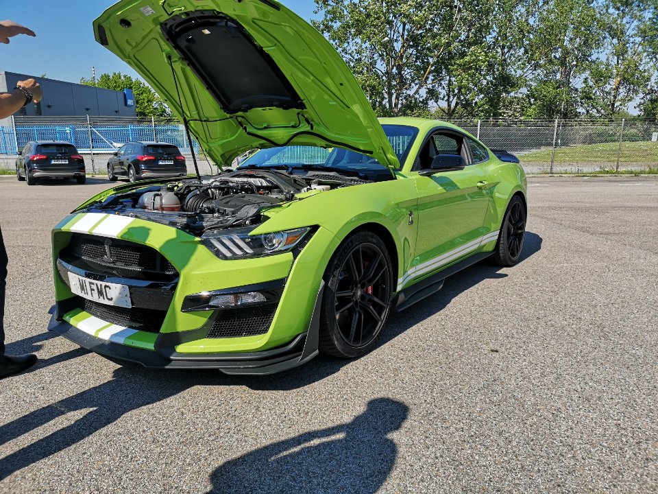 IMG_20210603_155925.jpg