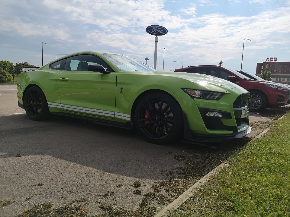 IMG_20210604_090630.jpg