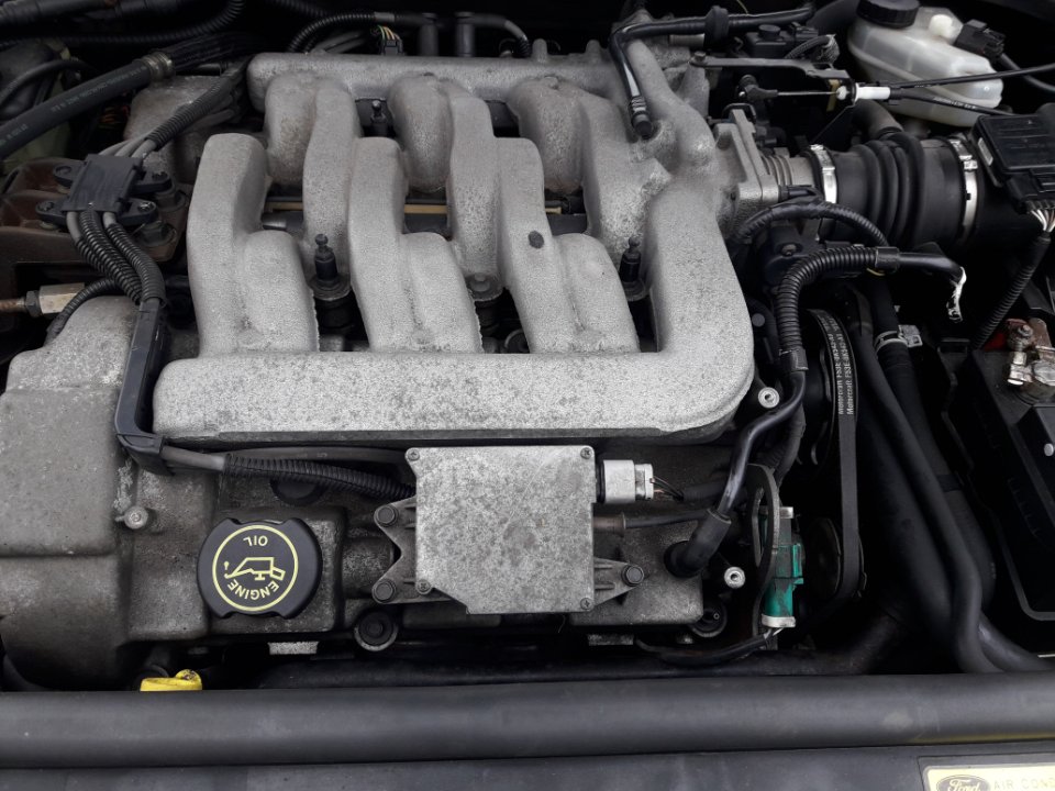 20241113_122139.jpg