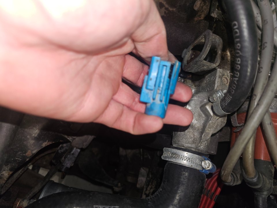 20250322_174132.jpg