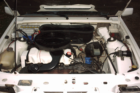 lackade_delar-011.gif