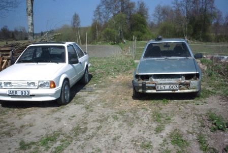 PICT0007.gif