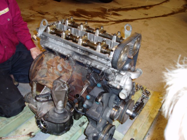 Renovering Cossie 032.jpg