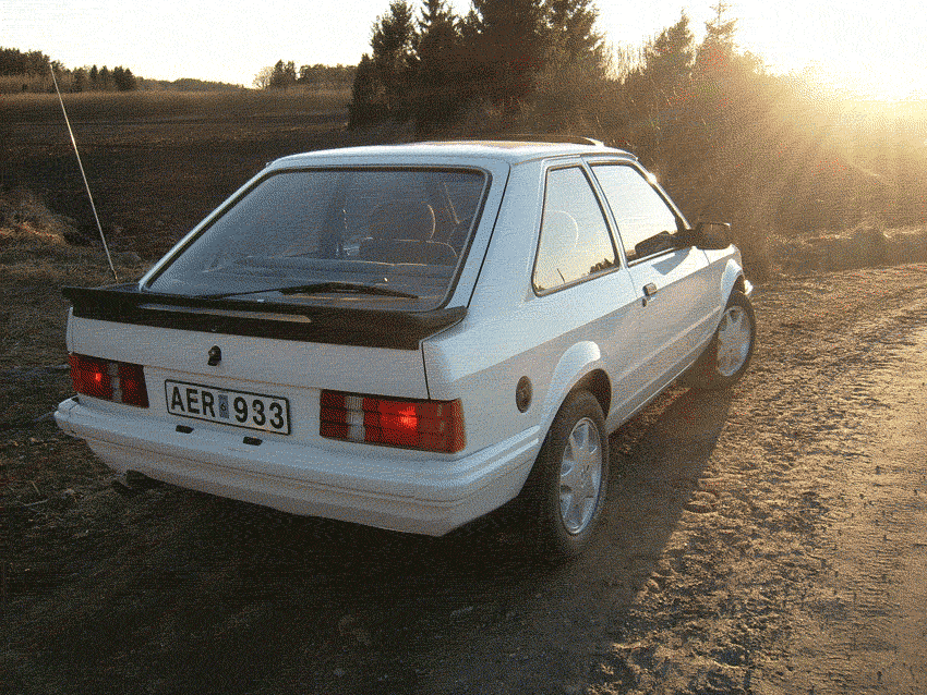 DSCI0466.gif
